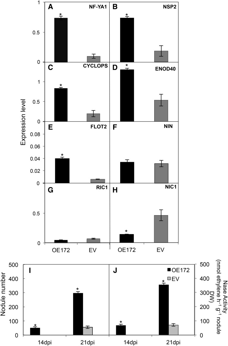 Figure 9.