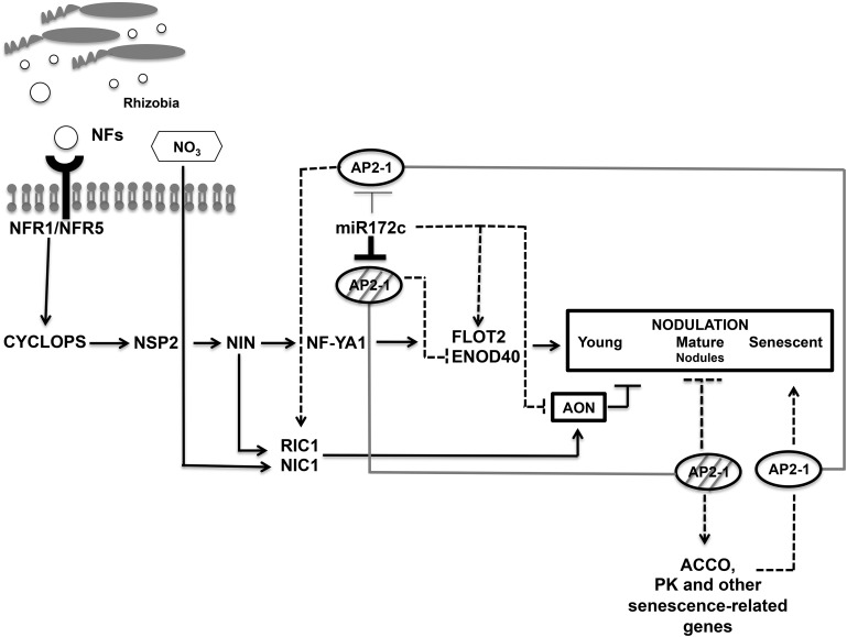 Figure 10.