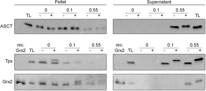 Fig. 9