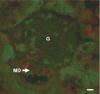 Fig. 4.