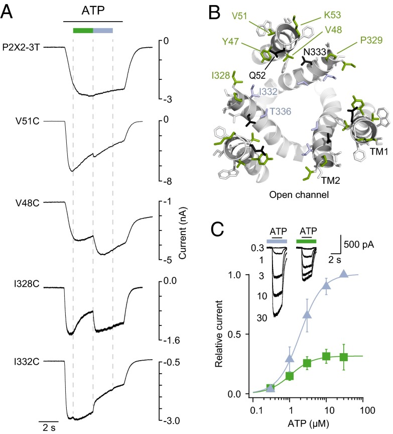 Fig. 3.