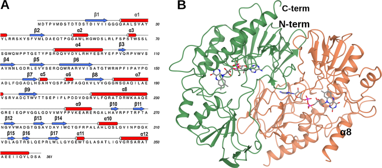 Fig. 3