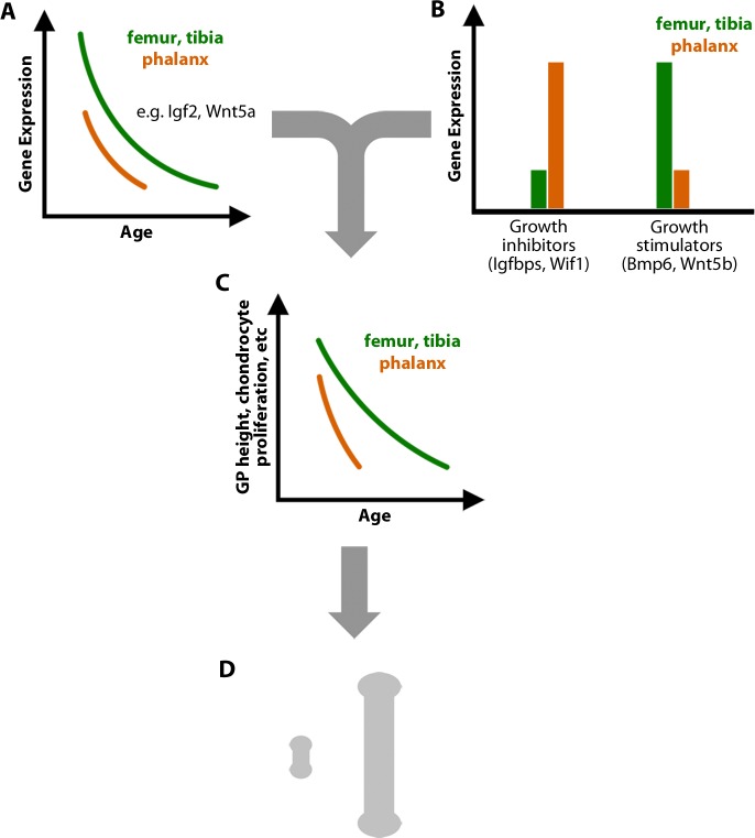 Fig 5