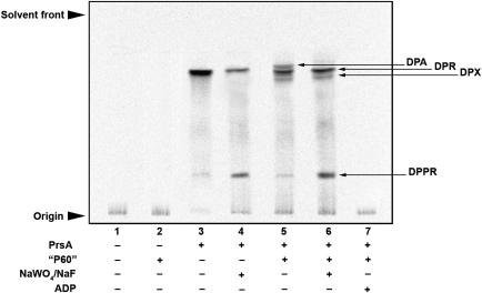 Fig. 3.