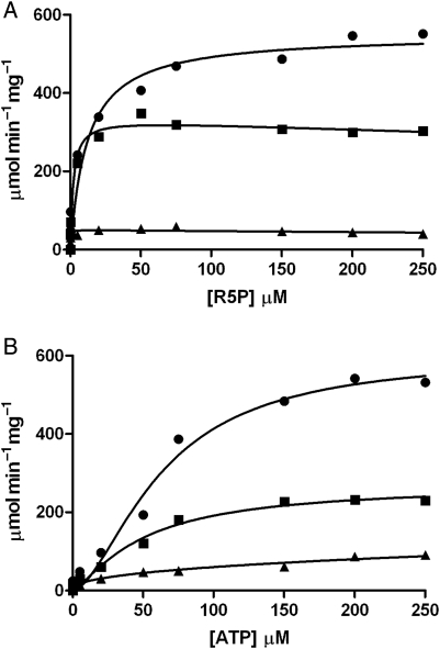 Fig. 5.