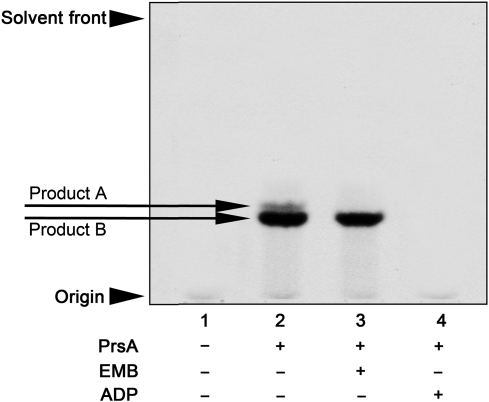 Fig. 4.