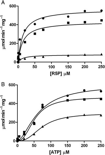 Fig. 6.