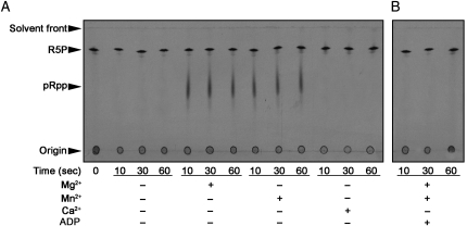 Fig. 2.