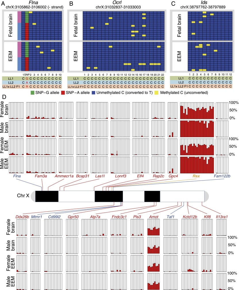 Figure 6.