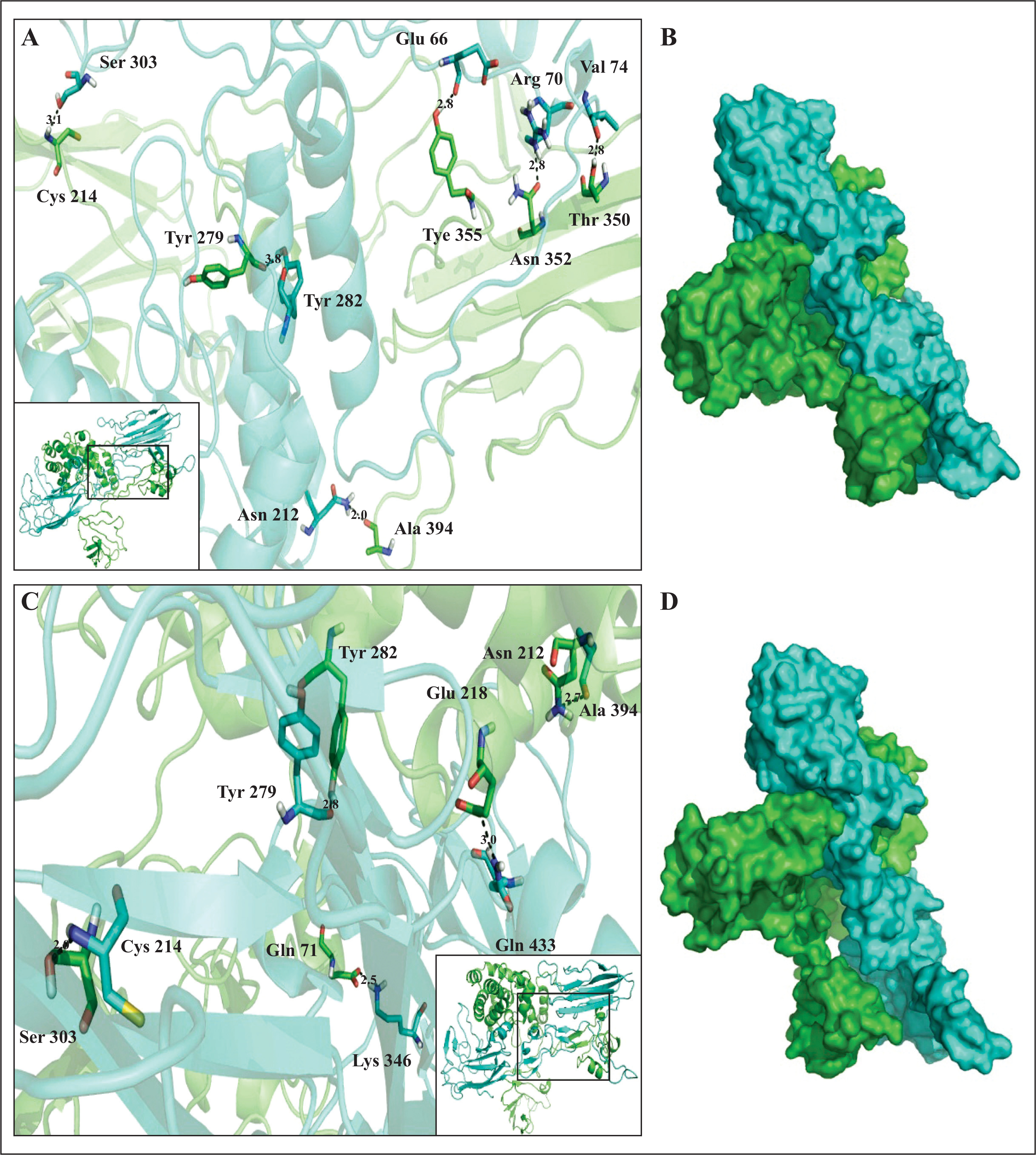 Figure 5.