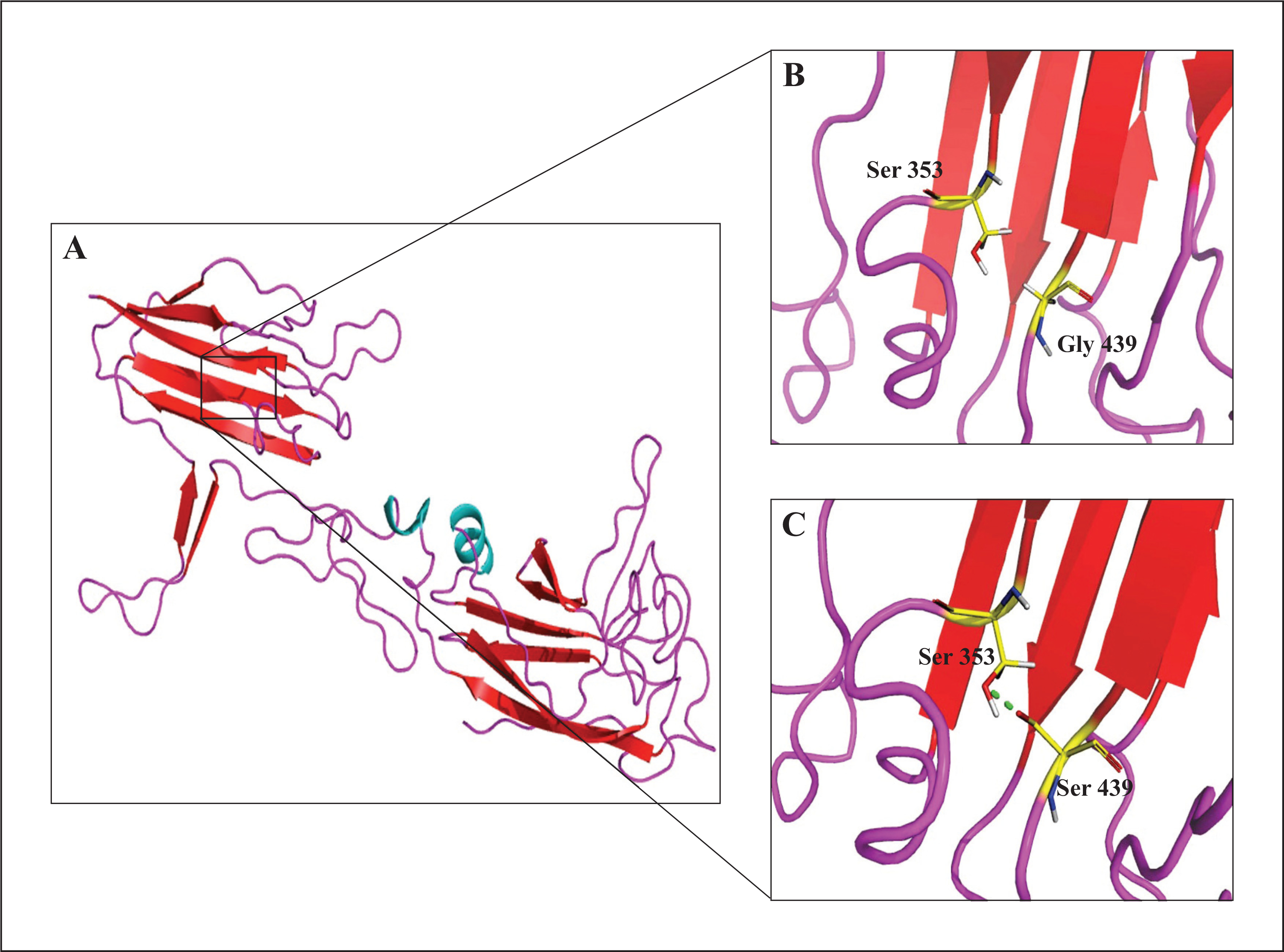 Figure 4.