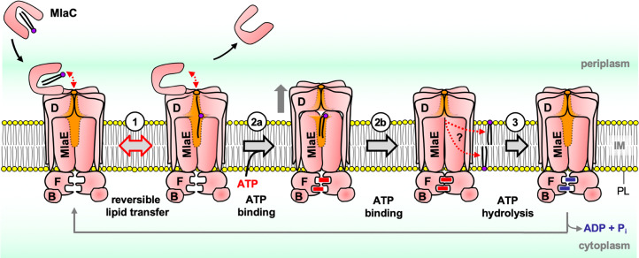 Fig. 6.