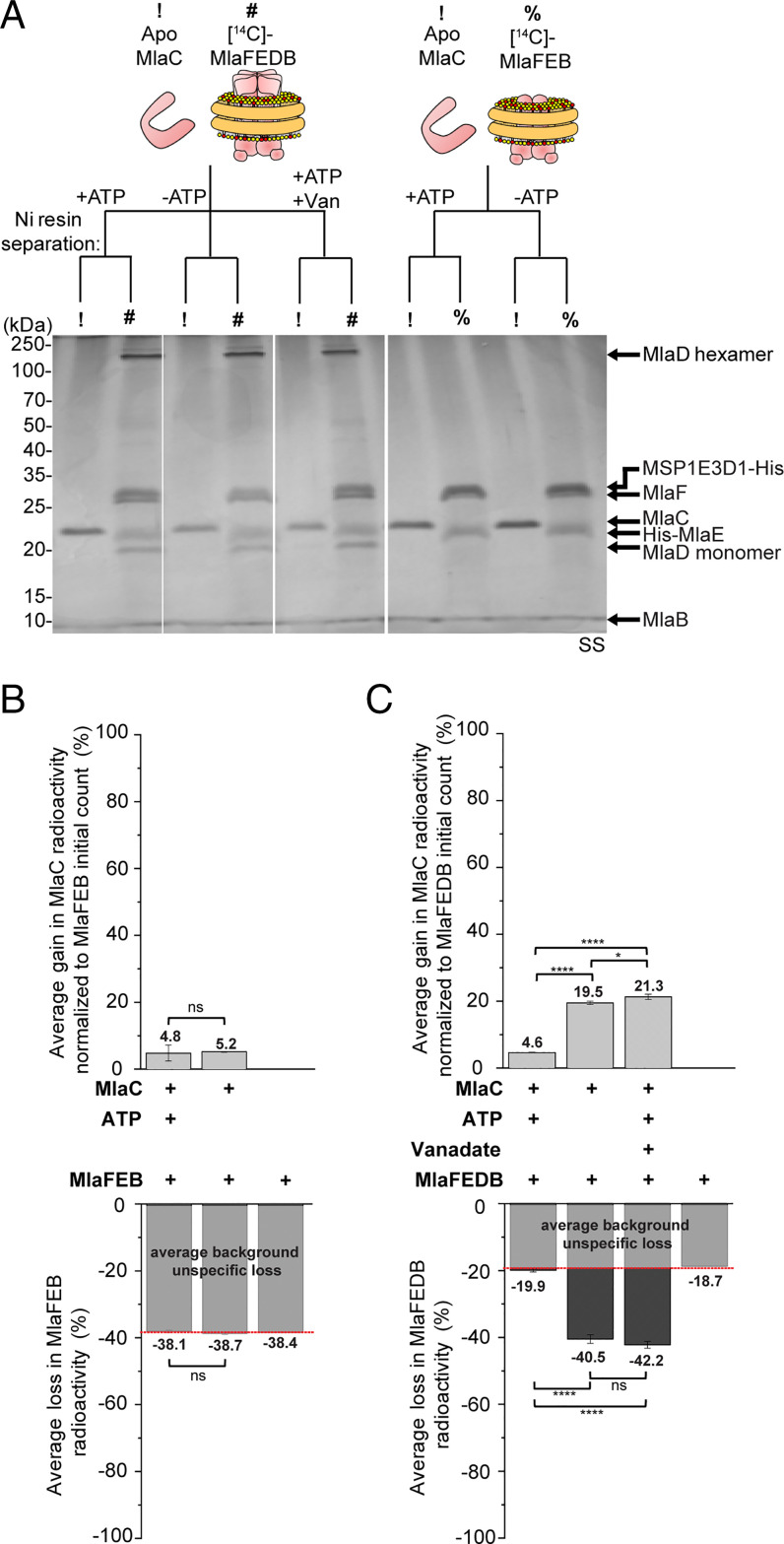 Fig. 5.