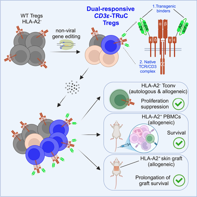 graphic file with name fx1.jpg