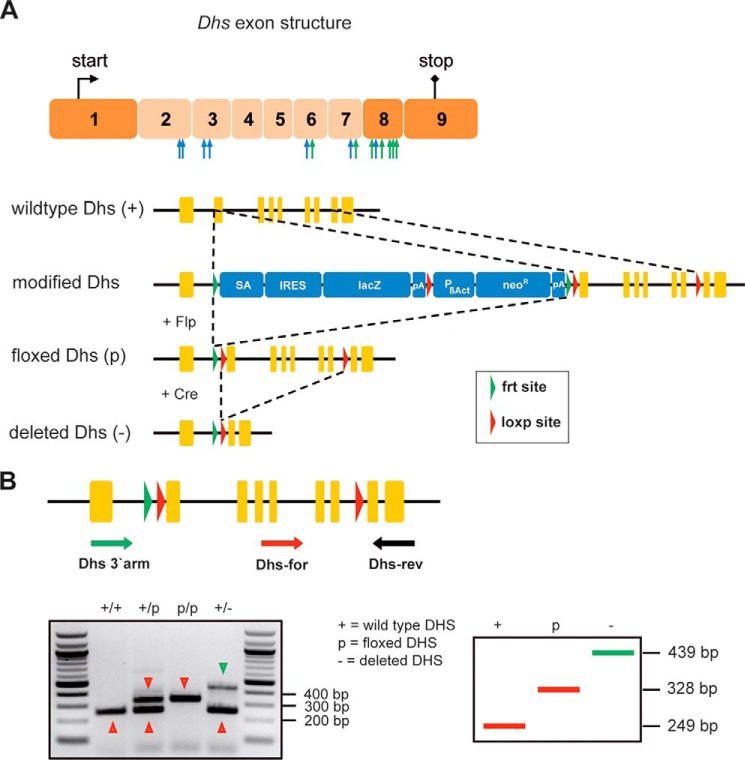 FIGURE 2.