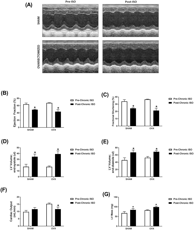 Fig 7