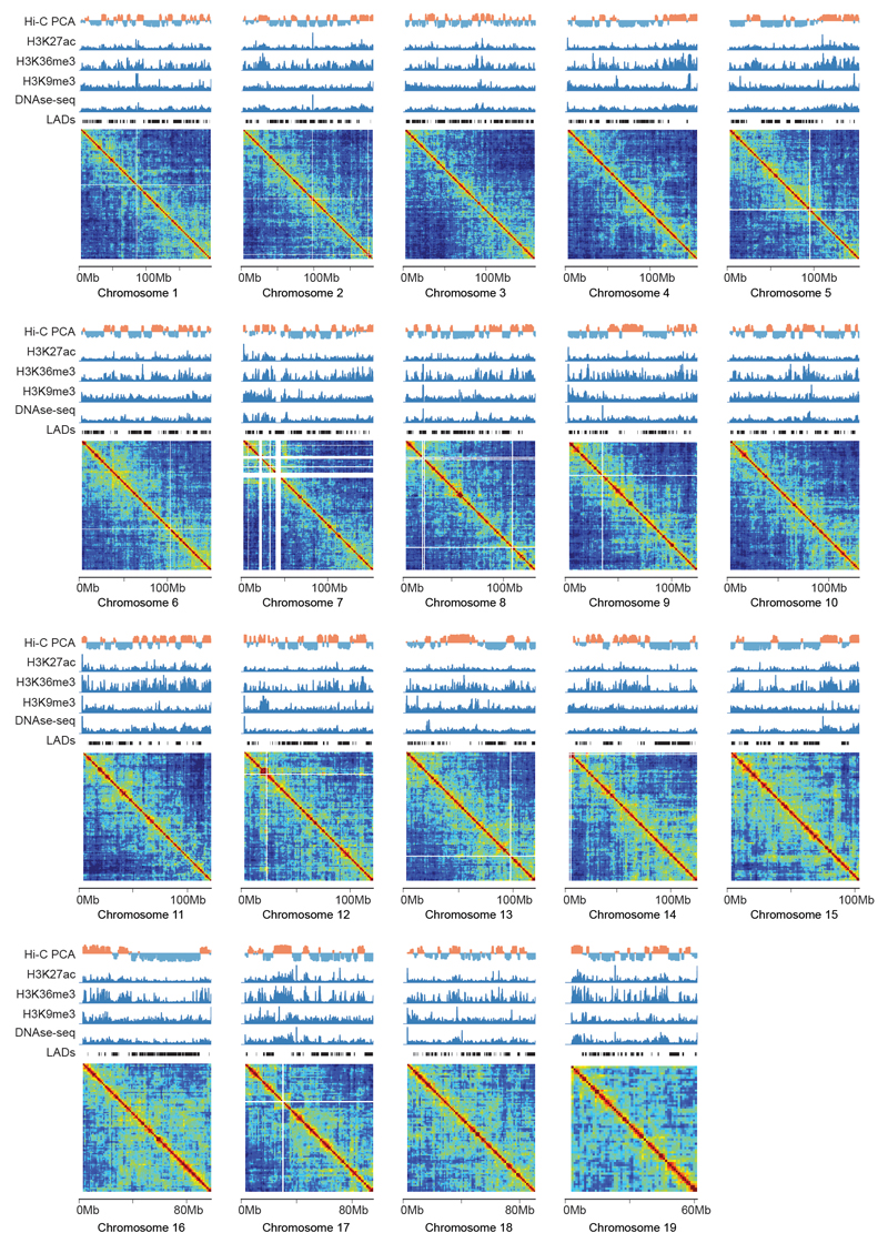 Extended Data Figure 6