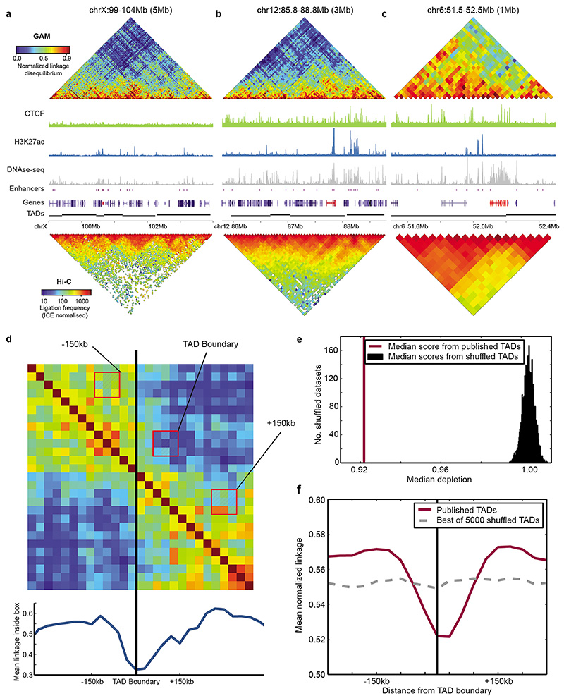 Extended Data Figure 7