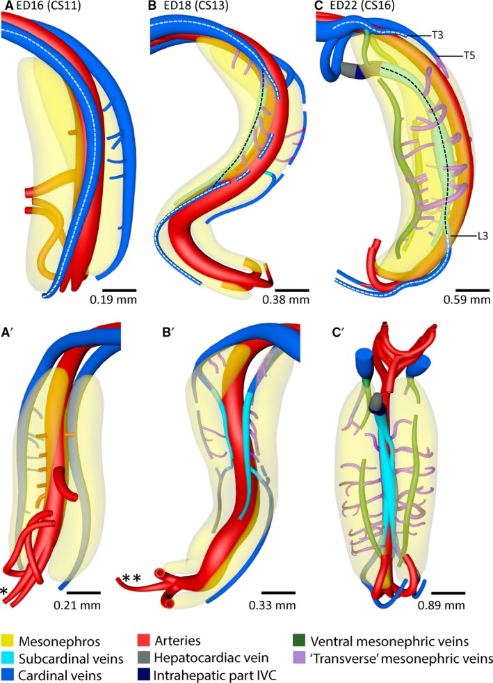 Figure 8