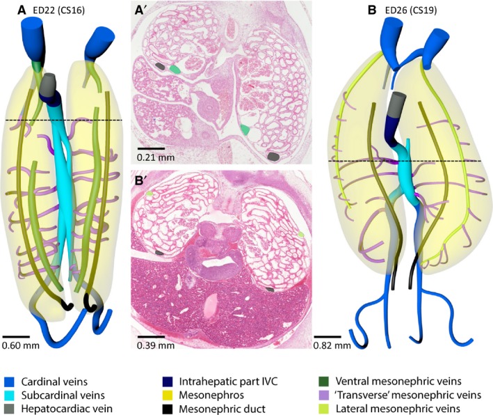 Figure 10