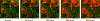 Figure 4:
