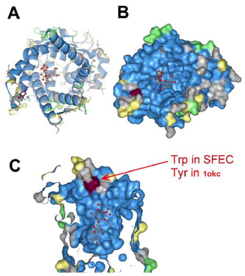 Figure 10