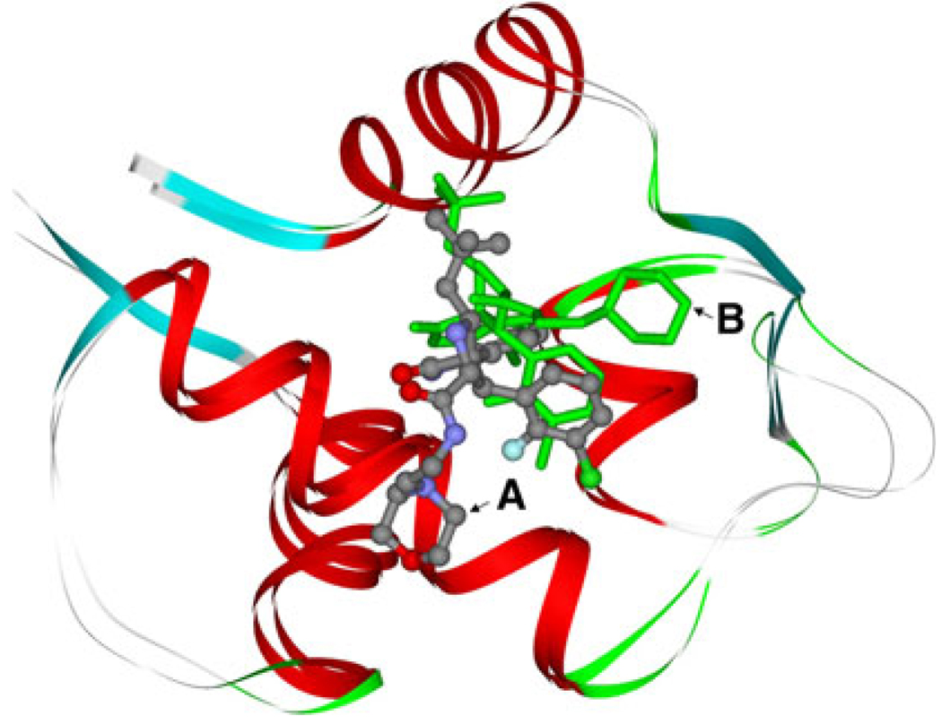 Fig. 13