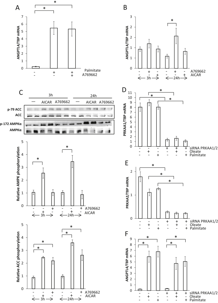 Figure 6