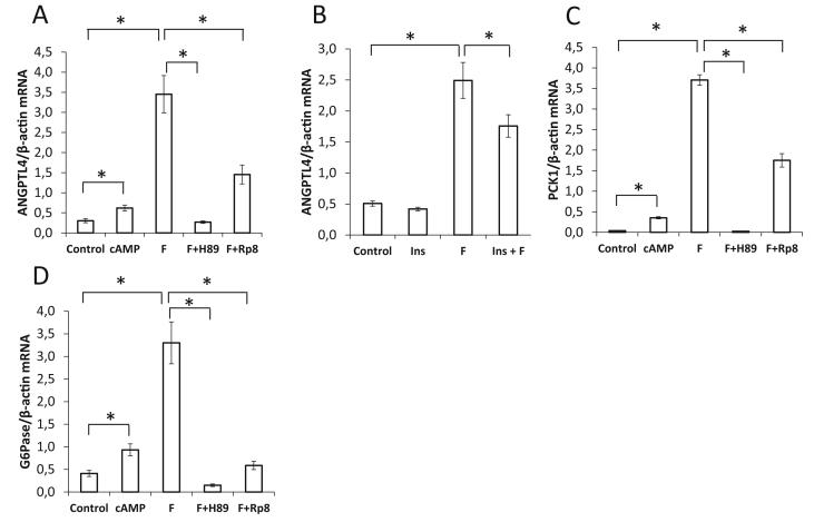 Figure 5