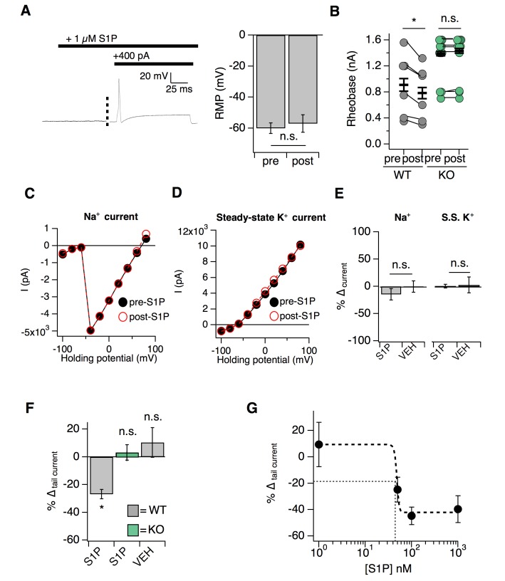 Figure 5—figure supplement 1.