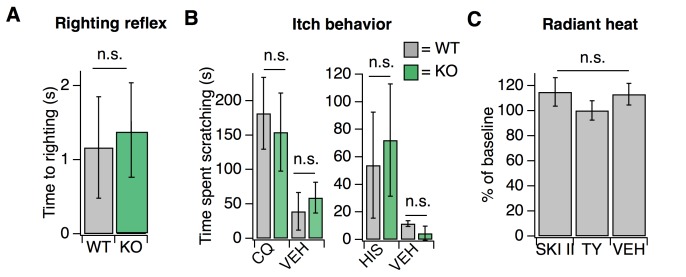 Figure 1—figure supplement 1.