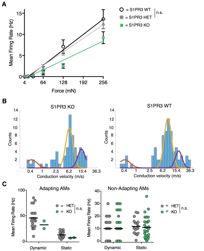 Figure 6—figure supplement 1.