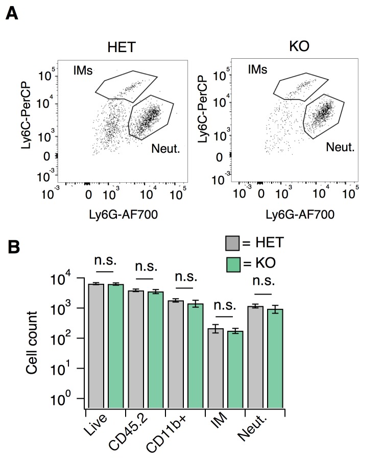 Figure 7—figure supplement 1.