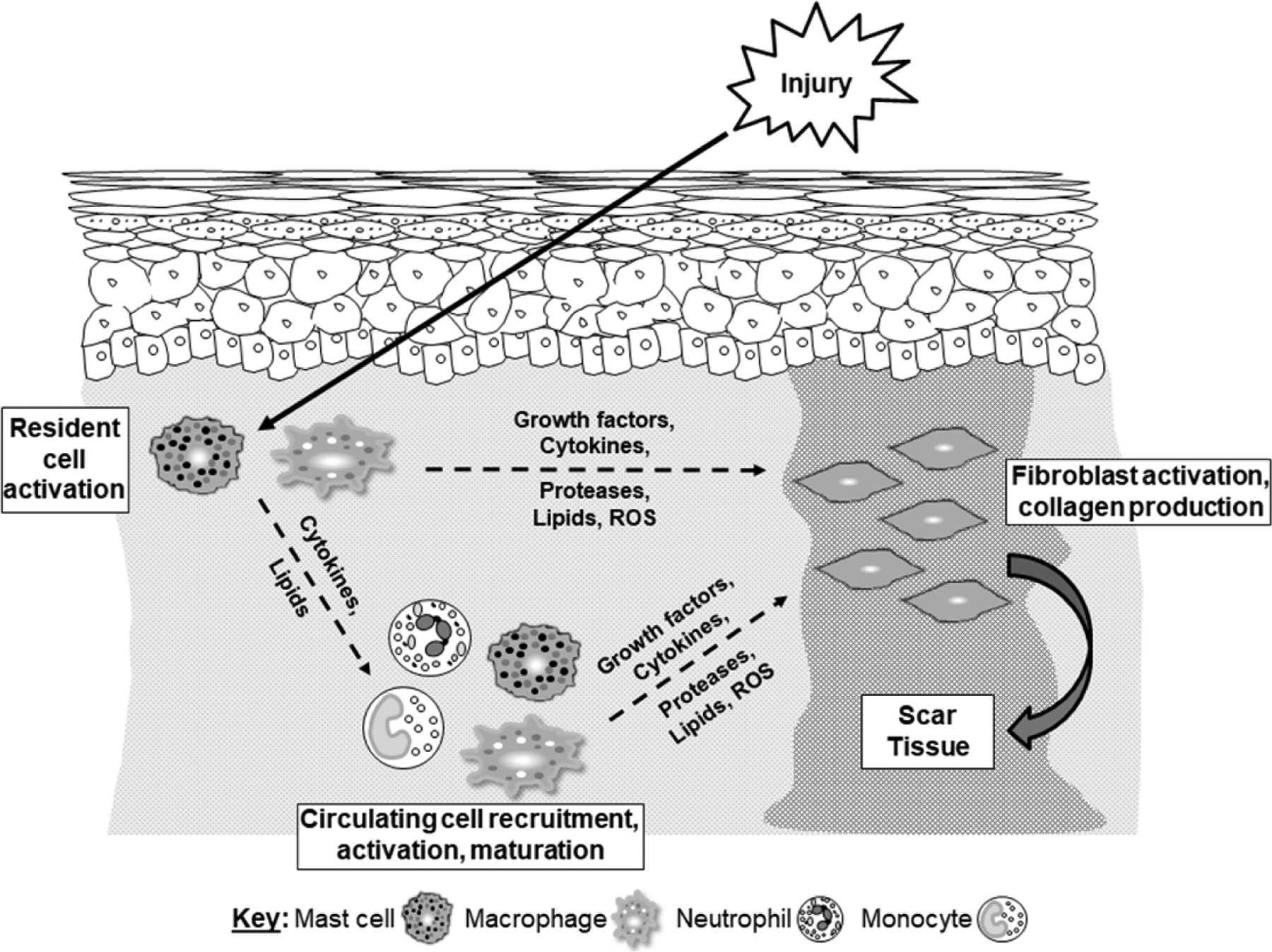 Figure 2.