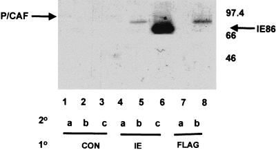 FIG. 7