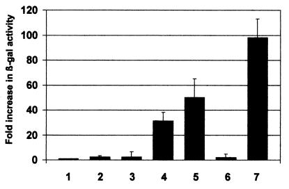 FIG. 8