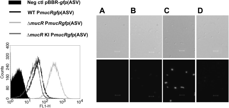 Fig 8