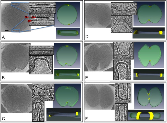 FIGURE 4: