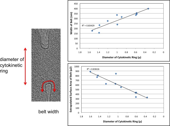 FIGURE 5: