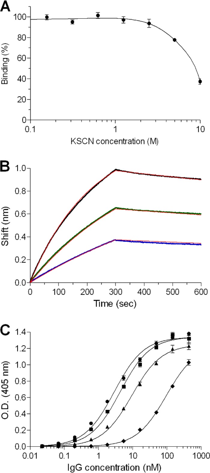 FIG 2