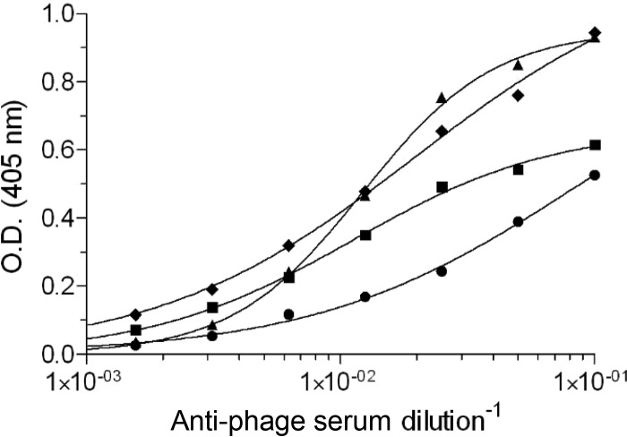 FIG 6