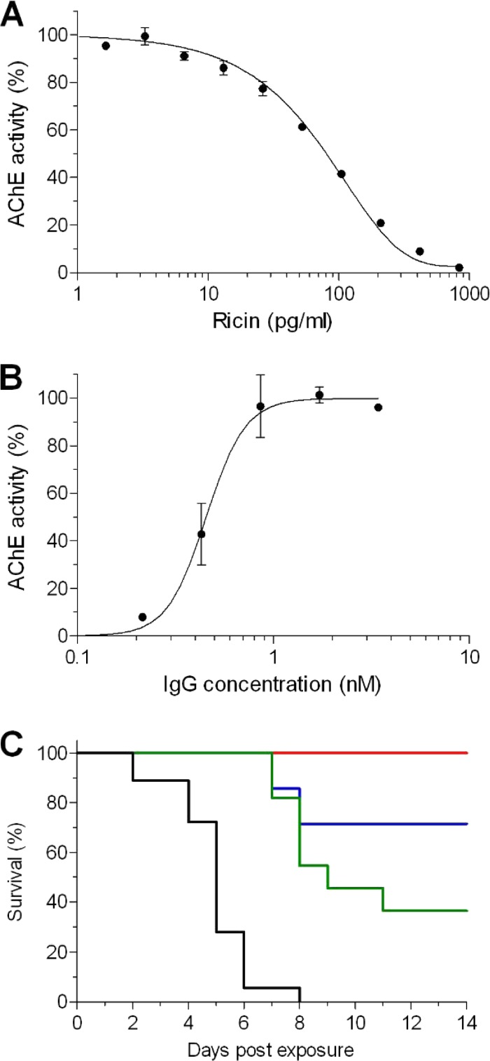 FIG 1