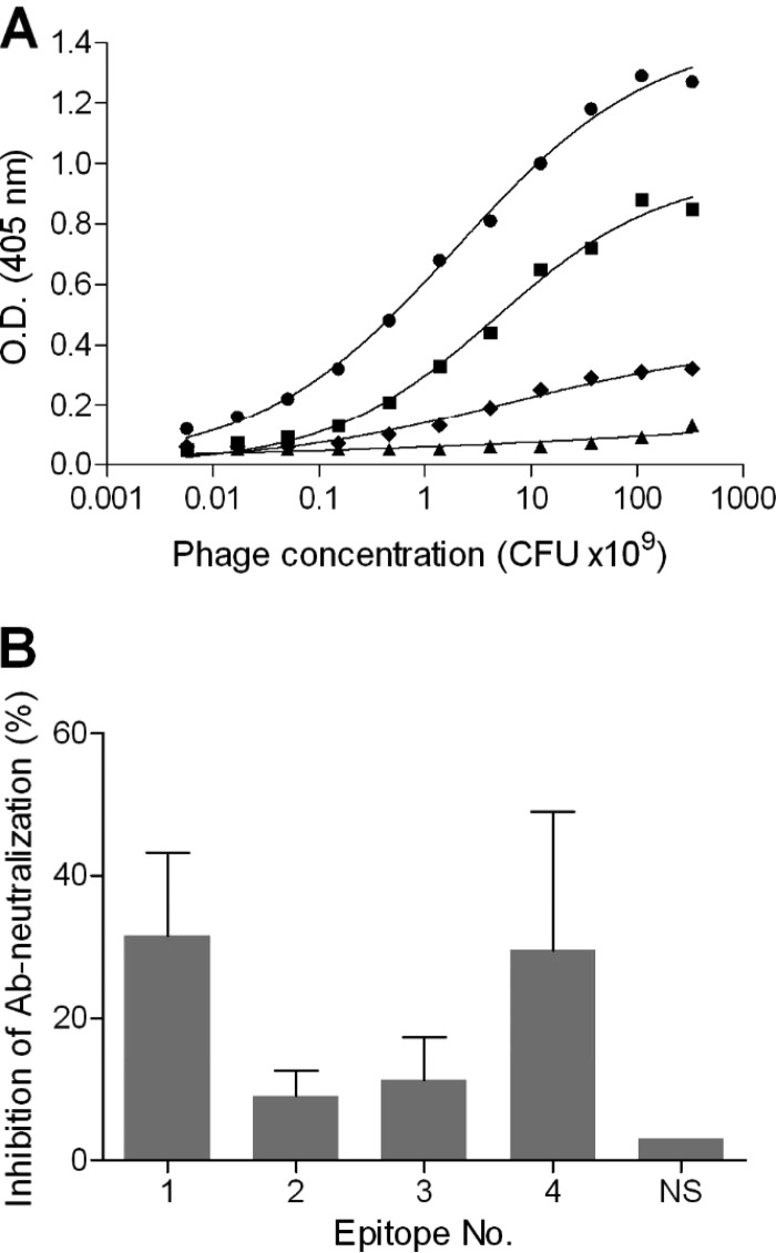 FIG 5