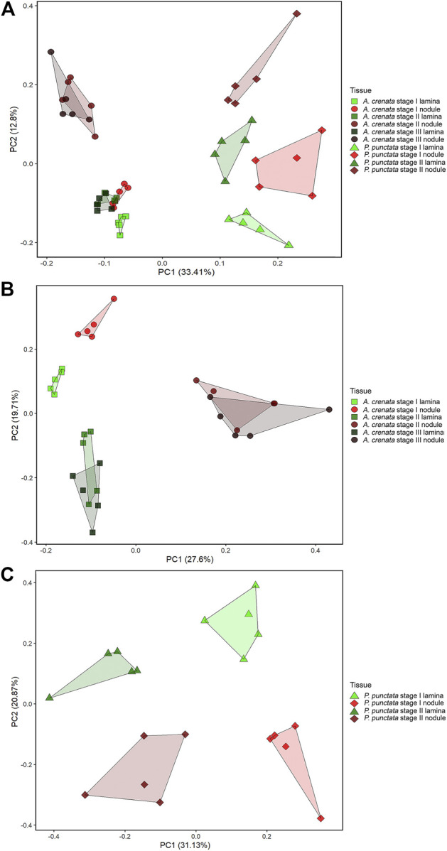 FIGURE 3