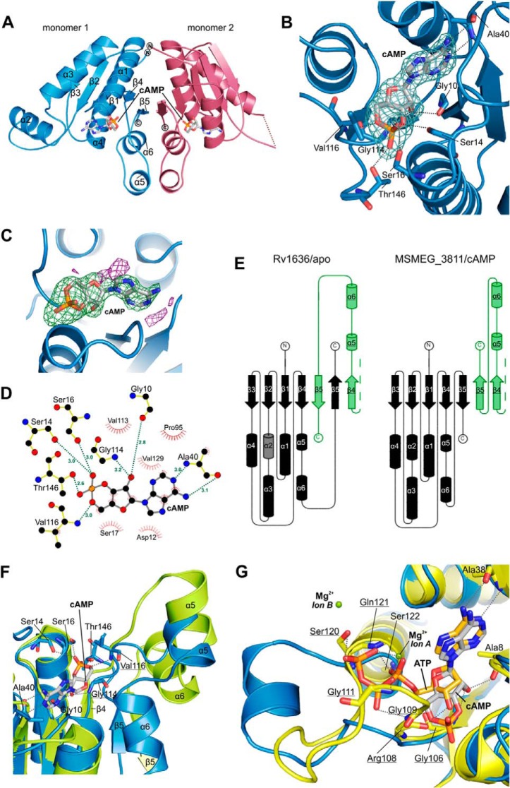 FIGURE 4.