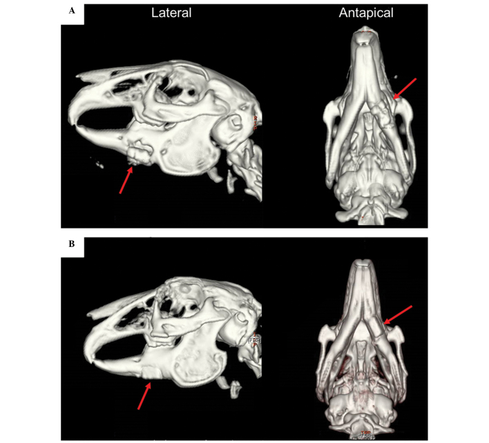 Figure 5.