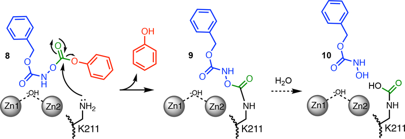 Figure 7.