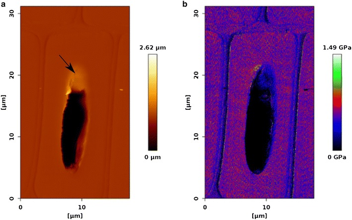 Fig. 2