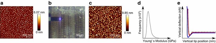 Fig. 1