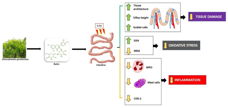 Figure 14